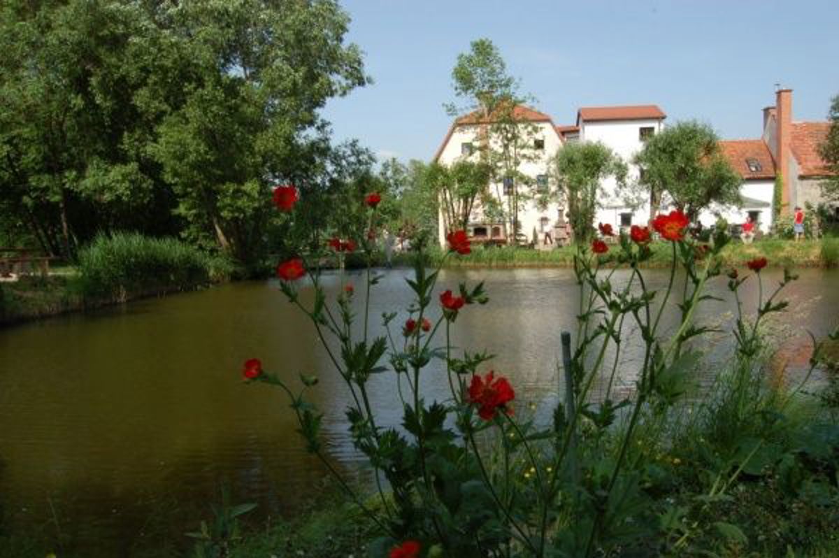 nad jeziorem, Szczepanów